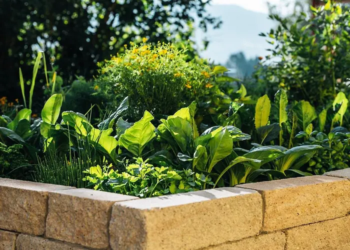 Prielbauer Hotel Tiefgraben