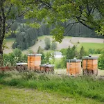 酒店 Prielbauer 4*